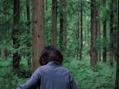 -黄海国家森林公园