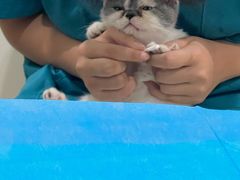 -美迦爱-牙专科·兔科·骨科诊疗中心(北苑店)