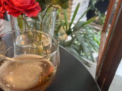 -两棵枇杷树