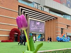 -西安电影制片厂