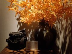 -Dragonfly 悠庭·按摩Spa(苏州中心广场店)