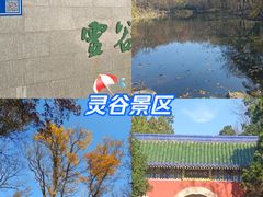 -灵谷景区