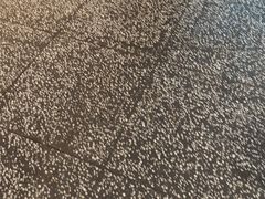 -洪氏嗨捞·猪肚鸡火锅(阳光天地店)