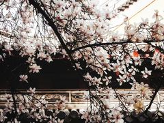 -龙华寺