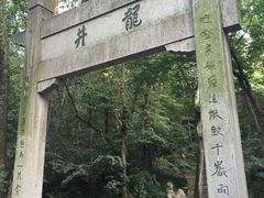 -龙井村