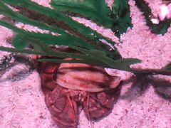 -沈阳海洋探索中心