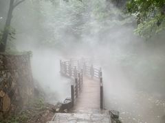 -北京西山国家森林公园