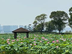 -苏州金鸡湖大酒店