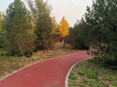 -绿堤公园