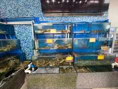 水产区-蚝专家(北滘店)