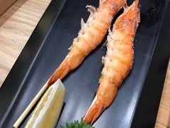 -一本钓鲔鱼屋
