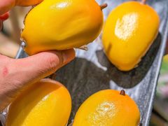 -得意咚瓜·顺德鱼生·冬瓜盅火锅