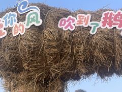 -靖西鹅泉风景区