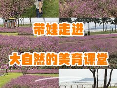 -野狸岛