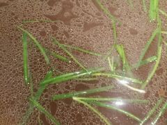 -黔蘑菇四季餐厅(观山湖店)