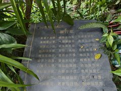 -观澜山水田园