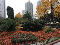 -观音桥步行街