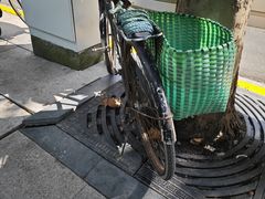 -静安公园(静安寺街道)