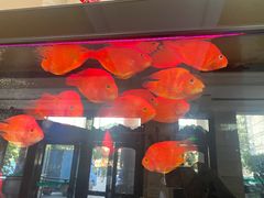 -东方雅典水疗美食汇(金海岸大厦店)
