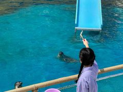 -秦皇岛乐岛海洋王国