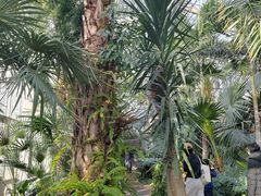 -国家植物园南园