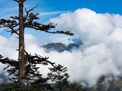 -硗碛藏寨·神木垒景区