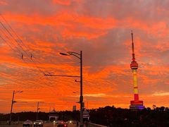 -循礼门鲜花花市(武汉循礼门店)