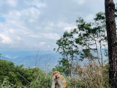 -重庆雨台山风景区