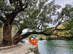 -上坦村