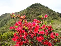 -广东天露山旅游度假区
