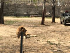 -秦皇岛野生动物园