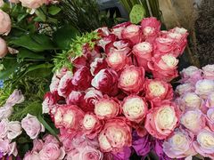 -Flower in(密渡桥店)