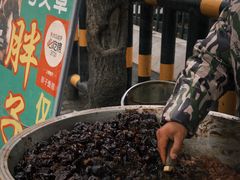 -马文章胖子甑糕(洒金桥店)