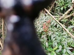 -家味螺蛳粉&烤鱼(五角场店)