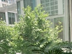 -北京同仁堂施小墨中医馆(建外SOHO店)