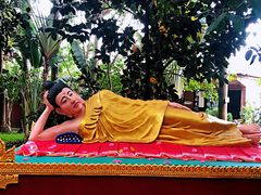 -瑞丽独树成林风景区