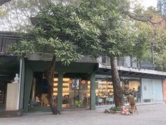 -晓港公园
