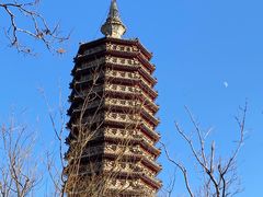 -西海子公园