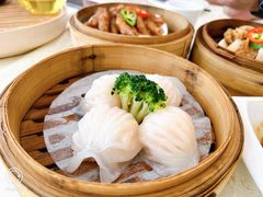 -璞正元酒楼·粤菜·早茶(大朗店)