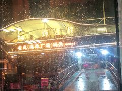 -珠江夜游省总码头