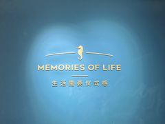 -海马体照相馆(北京apm店)