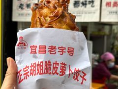 -半月镰胡姐脆皮萝卜饺子