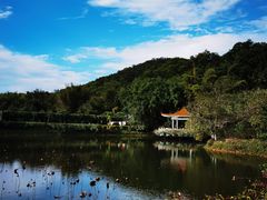 -大屏嶂森林公园