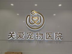 -关爱宠物医院·猫科中心·消化科(滨湖万达分院)