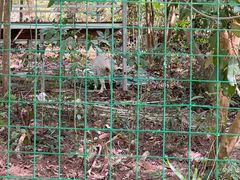 -广州白江湖森林公园