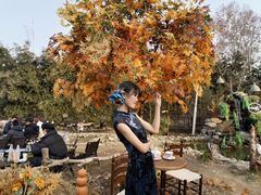 -HERRE·FARM 赫尔露营农场·团建聚会包场