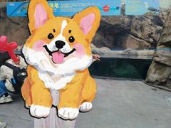-珠海长隆海洋王国