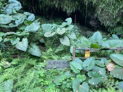 -海口火山口国家地质公园