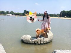 -上海月湖雕塑公园