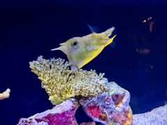 -上海海洋水族馆